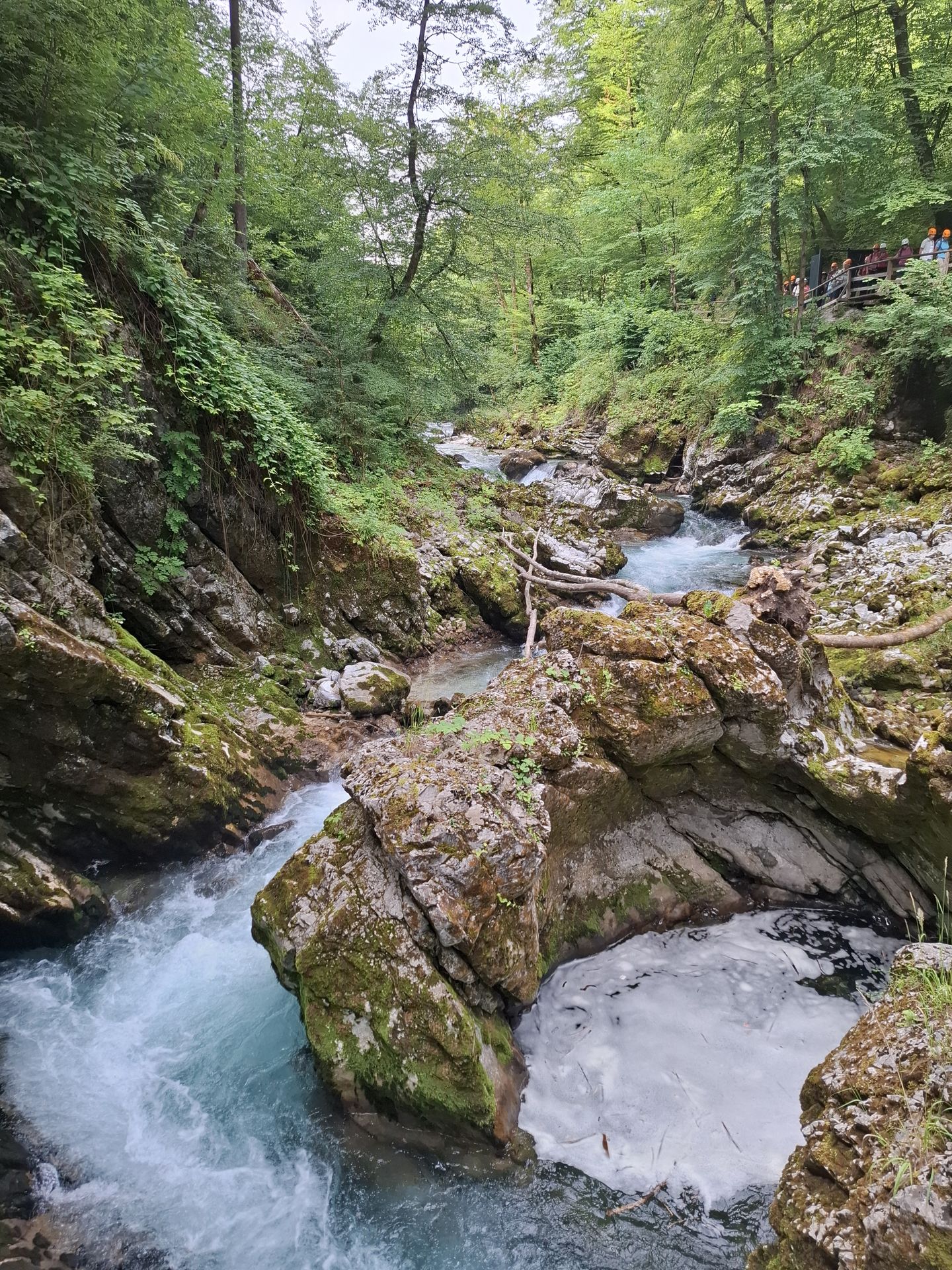 Vintgar-Klamm bei Bled (SLO)
