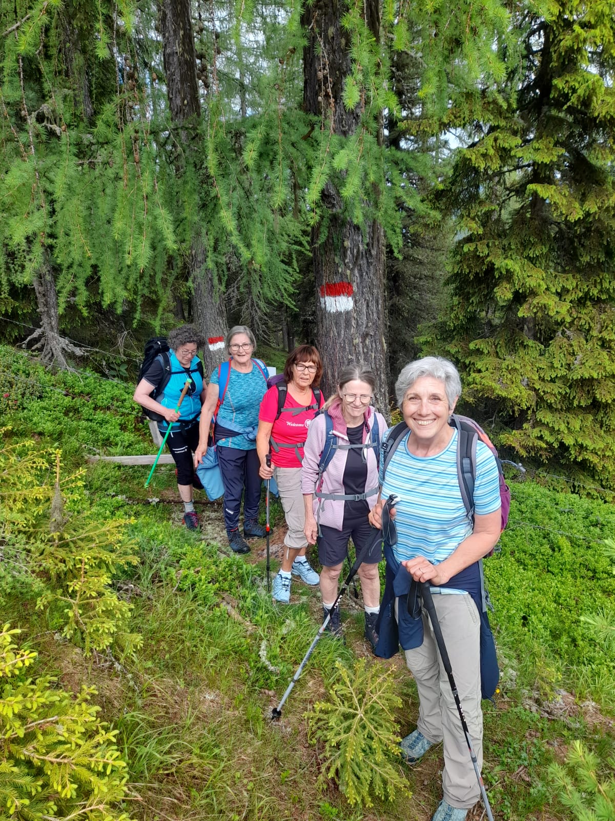 Hochrindl – Rundwanderung